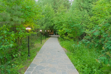 a path and lanterns in a park or forest among trees and grass
