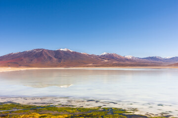Laguna Verde (Green Lagoon) is a salt lake found in the Altiplano region of Bolivia and near the border to Chile.