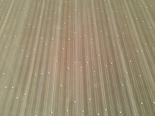 Drone high view of sunny day UK field with hay bales