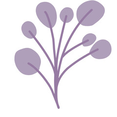 Purple Plant