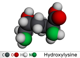 Hydroxylysine, Hyl molecule. It is amino acid, human metabolite. Molecular model. 3D rendering