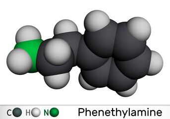 Phenethylamine, PEA molecule. It is monoamine alkaloid, central nervous system stimulant in humans. Molecular model. 3D rendering