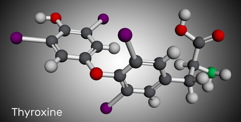 Thyroxine, T4, levothyroxine molecule. It is thyroid hormone, prohormone of thyronine T3, used to treat hypothyroidism. Molecular model. 3D rendering