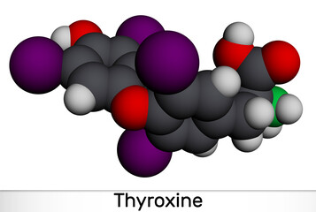 Thyroxine, T4, levothyroxine molecule. It is thyroid hormone, prohormone of thyronine T3, used to treat hypothyroidism. Molecular model. 3D rendering.