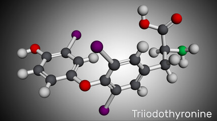 Triiodothyronine, T3, liothyronine molecule. It is thyroid hormone, pituitary gland hormone, used to treat hypothyroidism. Molecular model. 3D rendering