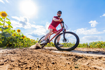 Fototapeta na wymiar cyclist riding a bike in the countryside dirty field. sunflower field at the blue sky.