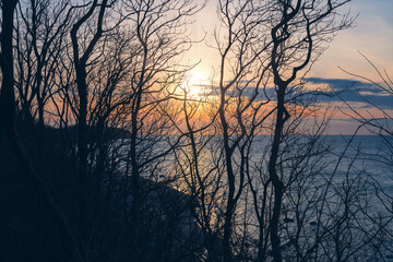 sunset on the island of rügen with many trees in the foreground