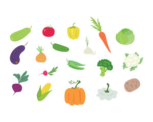 Vector set of simple colored vegetables: zucchini, eggplant, beetroot, tomato, onion, radish, corn, pepper, cucumber, pea, pumpkin, garlic, carrot, broccoli, squash, cabbage, cauliflower, potato