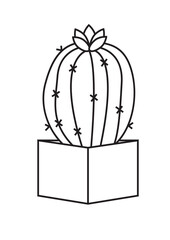 Cactus Coloring Pages Preschool Education 
