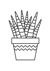 Cactus Coloring Pages Preschool Education 