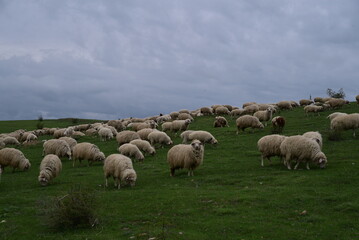 Obraz premium Georgia country Natural Beauty, lakes and Cityscape