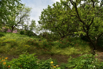 Georgia country Natural Beauty, lakes and Cityscape