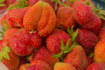 ripe, large, red garden strawberries or strawberries close-up. Macro