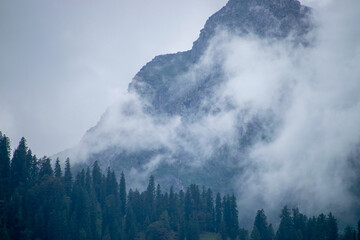 A huge rocky mountain all covered in white clouds and surrounded by a dense cedar forest.Tall cedar trees, clouds creates a perfect monsoon landscape on a rainy day in Manali, Himachal Pradesh, India.
