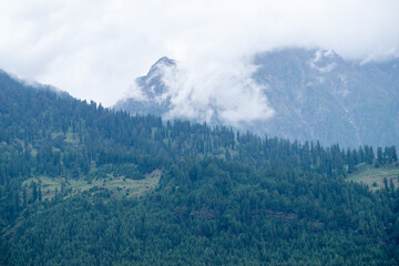 A huge rocky mountain all covered in white clouds and surrounded by a dense cedar forest.Tall cedar trees, clouds creates a perfect monsoon landscape on a rainy day in Manali, Himachal Pradesh, India.