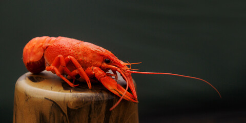 Boiled crayfish on a stand from a thermos lid.