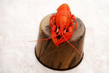 Boiled crayfish is a famous tourist and fishing delicacy on a stand made of a thermos lid.
