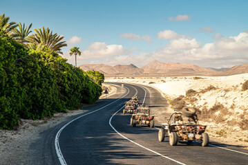 Buggy-Tour auf der FV-104 in den D&uuml;nen von Corralejo mit Palmen auf Fuerteventura
