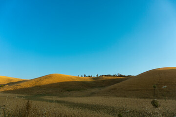 Fototapeta na wymiar Colline toscane al tramonto con campi di grano e cielo limpido, Toscana, Italia