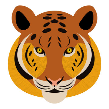 Tiger portrait. Tiger head. Textured vector illustr