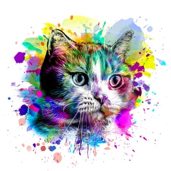 Poster abstract colorful cat muzzle illustration, graphic design concept © reznik_val