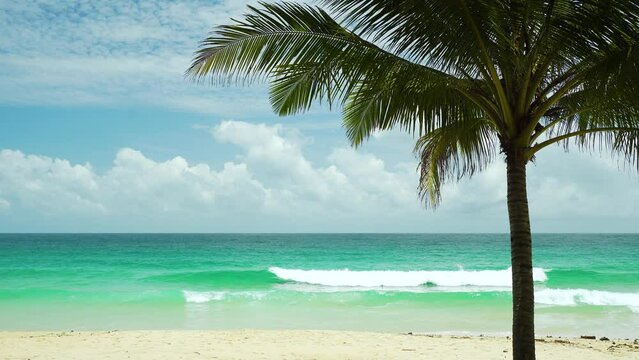 Coconut trees leaf beach sea tropical island. Panoramic palm green leaves scenic view sea against blue sky.