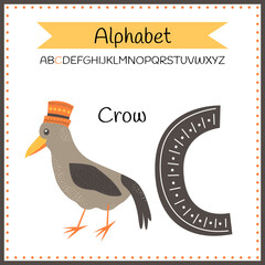 English uppercase alphabet letters on a white background. Letter С. Vector illustration