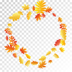 Oak, maple, wild ash rowan leaves vector, autumn foliage on transparent background.