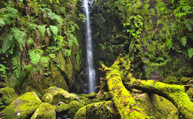 Wodospad, Rabo do Burro, Madera wiosną © KRZYSZTOF