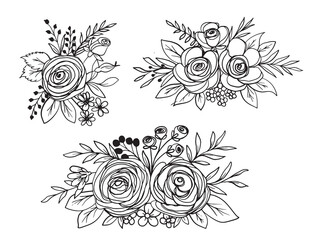 romantic flower and leaves line art ornament collection