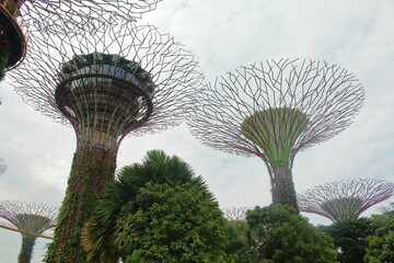 Gardens by the bay ガーデンズバイザベイ シンガポール singapore
