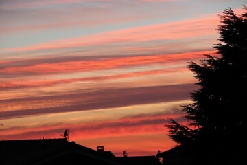 pink clouds and shadows of trees over the city