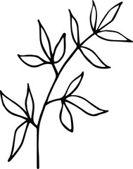 Leaf, Foliage illustration. Hand-drawn doodles illustration.
Line art.