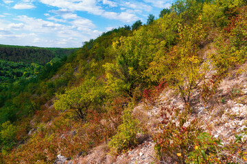 Fototapeta na wymiar forest on a hill, wild grass and rocks, beautiful valley with green trees, blue sky with clouds on the horizon, beautiful summer landscape, bright sunny day