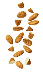 almond nut food healthy organic natural ingredient snack isolated seed brown fruit closeup nutrition group