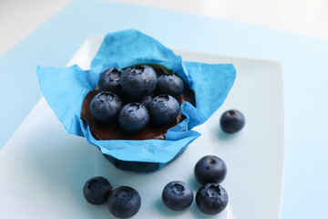 summer desserts. chocolate dessert with blueberries on a white plate
