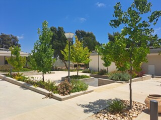 Fototapeta premium garden in the park