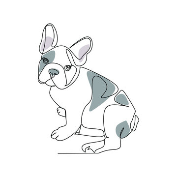 dog in line art style