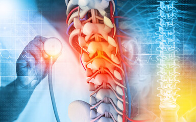 Doctor check and diagnose the human spine on blurred background. 3d illustration