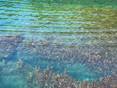 Ripples turquoise sea water with dense algae on the bottom.