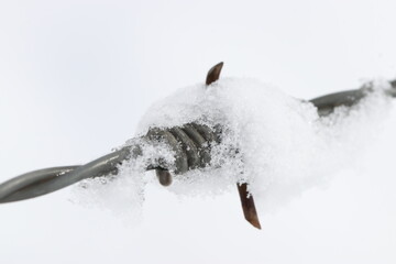 Alambrte de puas cubierto de nieve