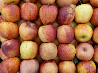 A neatly arranged red apples freshly picked for sale.