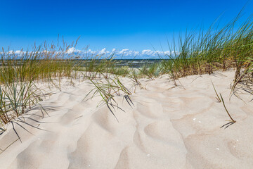 Fototapeta na wymiar Beautiful white sand dunes at the Baltic sea beach