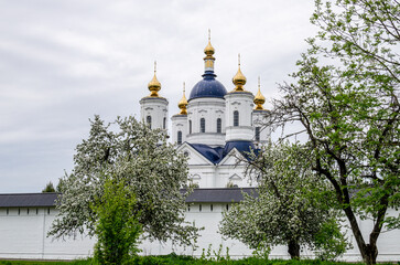 Fototapeta na wymiar View of the Assumption Cathedral of the ancient Russian Svensky Monastery
