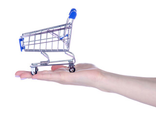 Mini grocery cart in hand on white background isolation