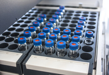 Test tubes in chemical laboratory