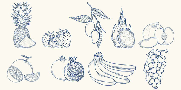 fruit hand drawing sketch set