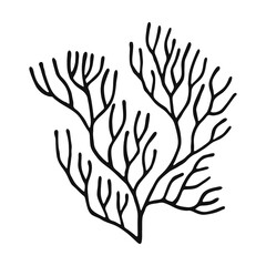 Obraz premium Coral. Hand drawn illustration converted to vector.