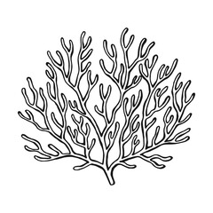 Coral. Hand drawn illustration converted to vector.