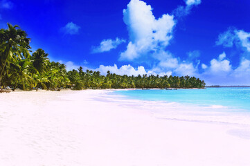 The Saona Island in sunny weather. Clean and deserted beach with white sand.